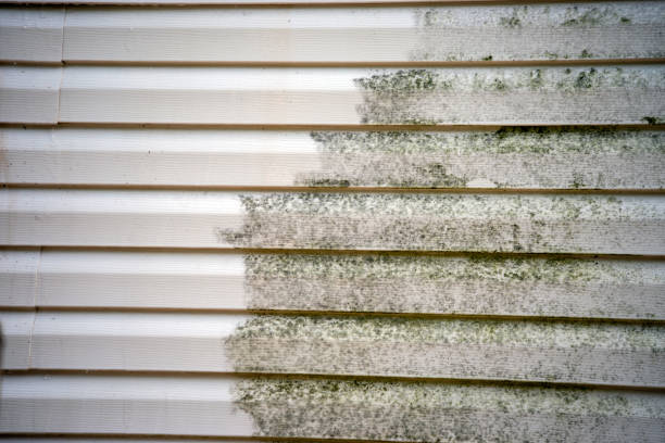 Best Residential Vinyl Siding Installation  in East Vineland, NJ