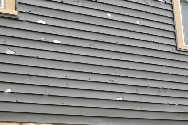 Best Custom Trim and Detailing for Siding  in East Vineland, NJ